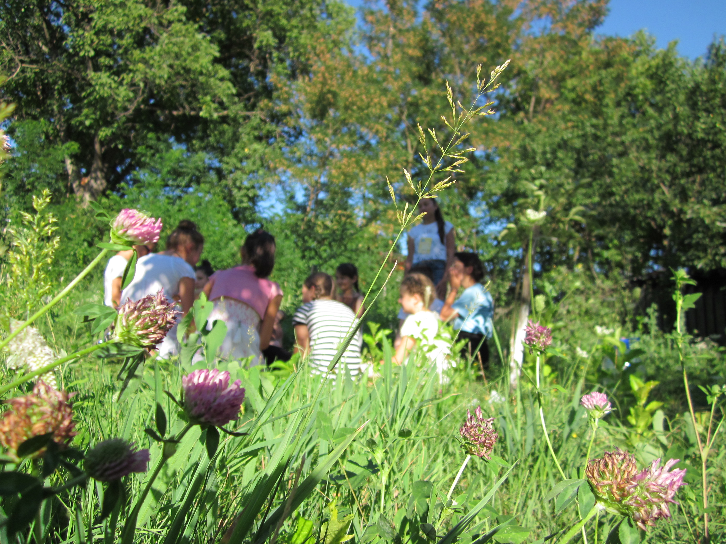 Tabăra „Vălătuci de prietenie“ de la Glodenii Gândului