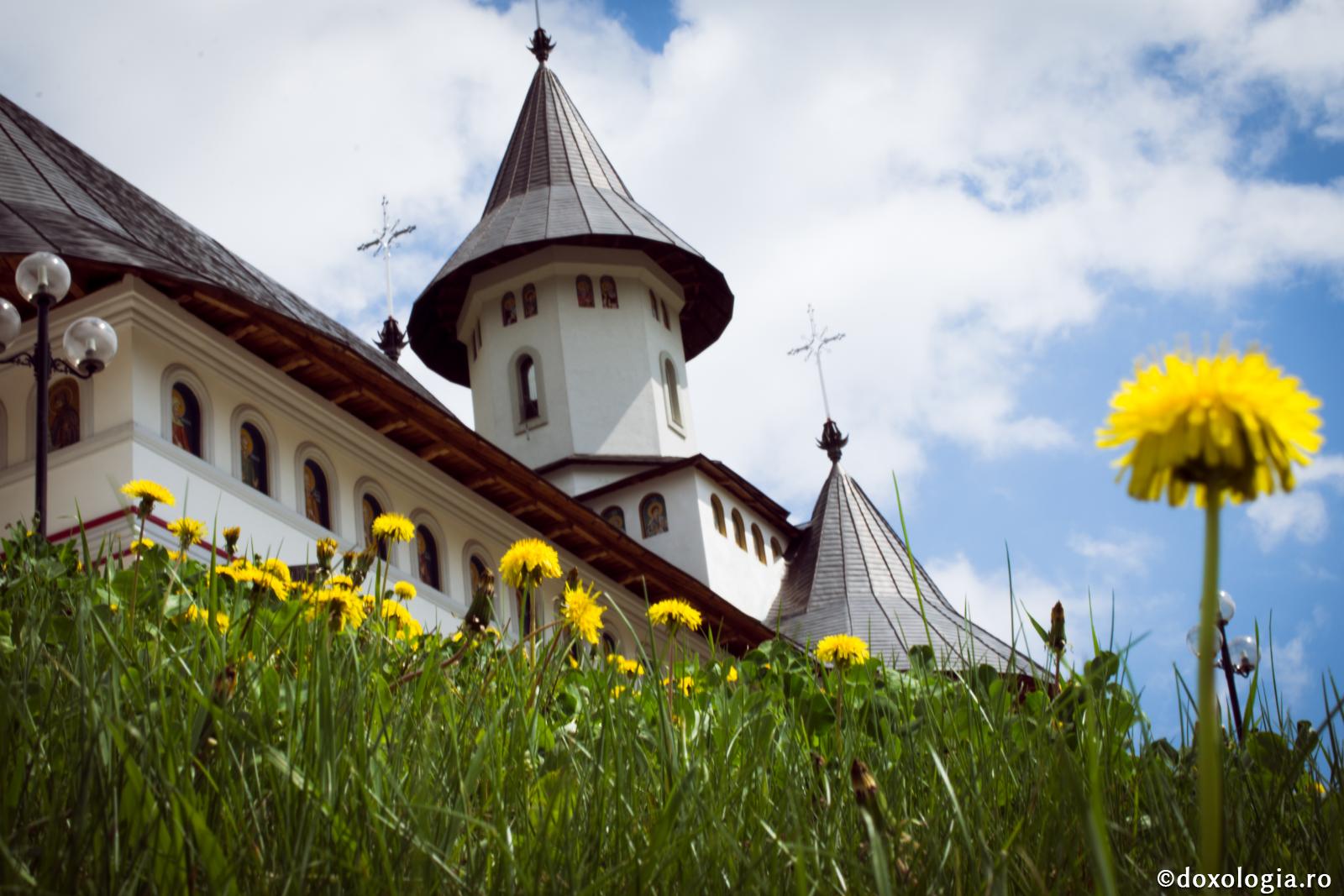 Grădina lui Dumnezeu, Stăpânul tuturor