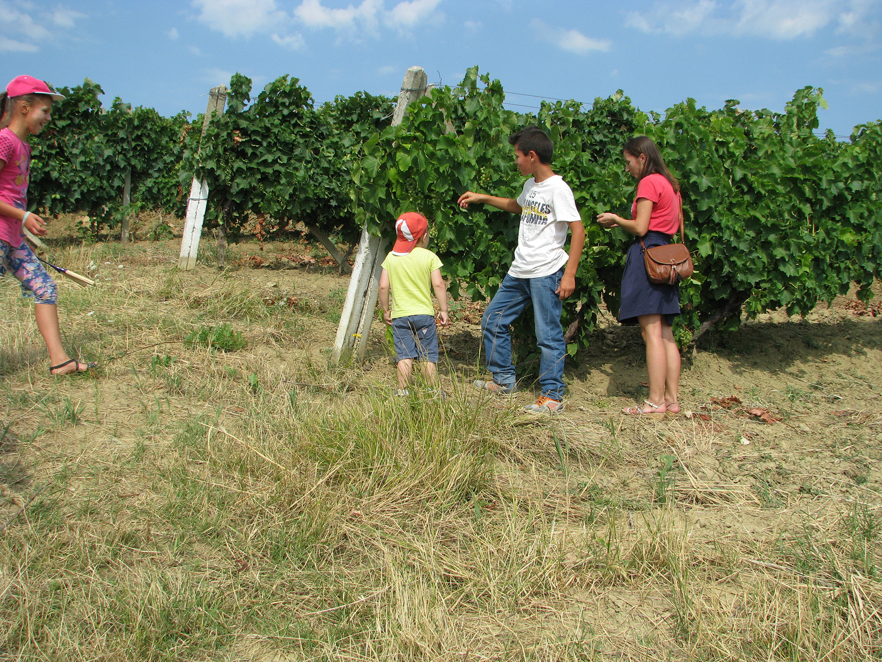 Tabăra de zi „Fiii Cătălinei“ (GALERIE FOTO)