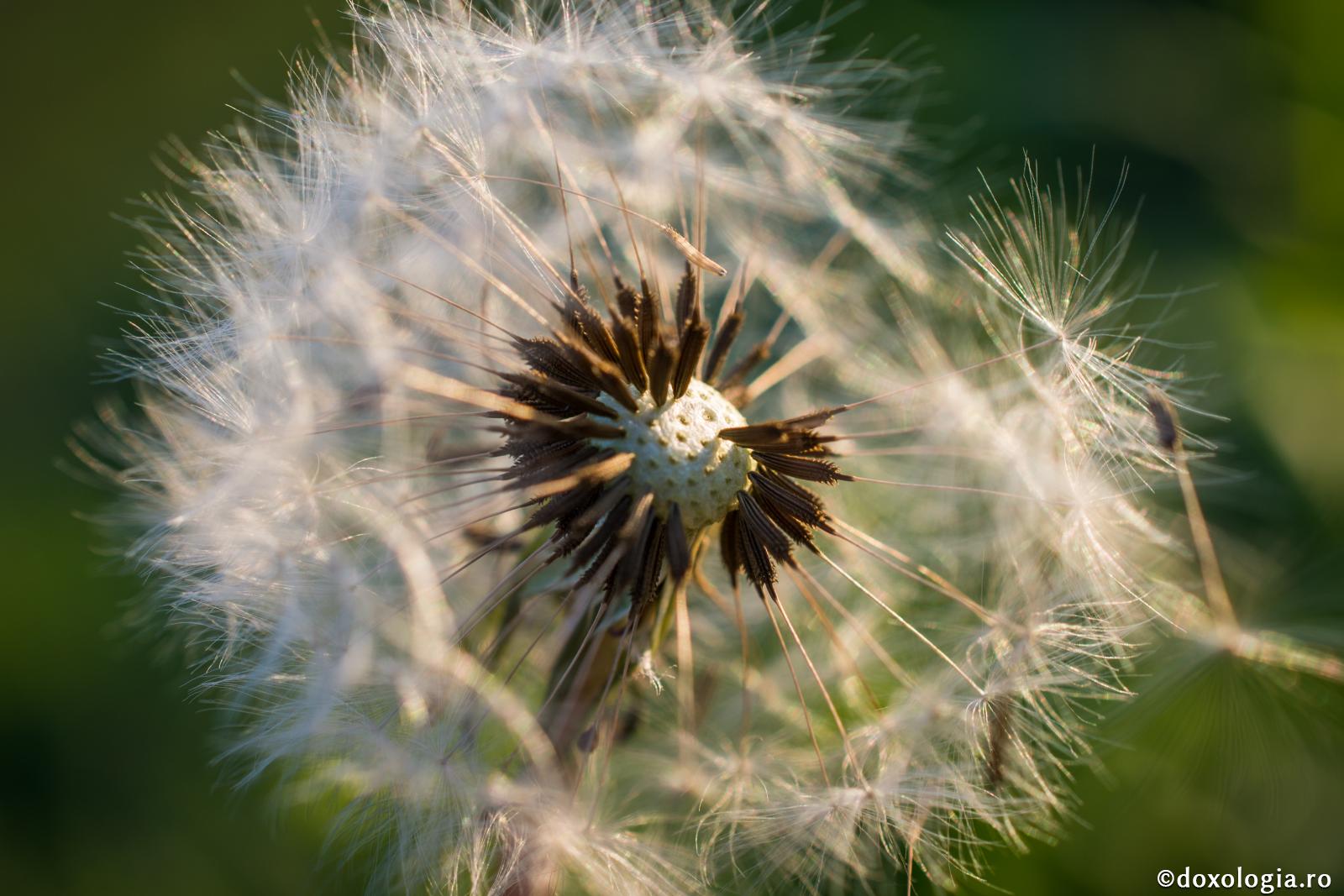Pricini pentru care îngăduie Dumnezeu să fim ispitiți