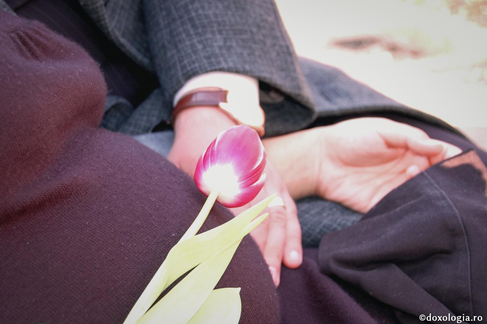 Fără dragoste, nu-ți poți găsi odihna