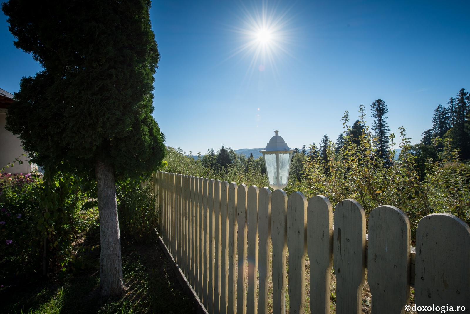 Numai prin lumina lui Hristos se face descâlcirea păcatului