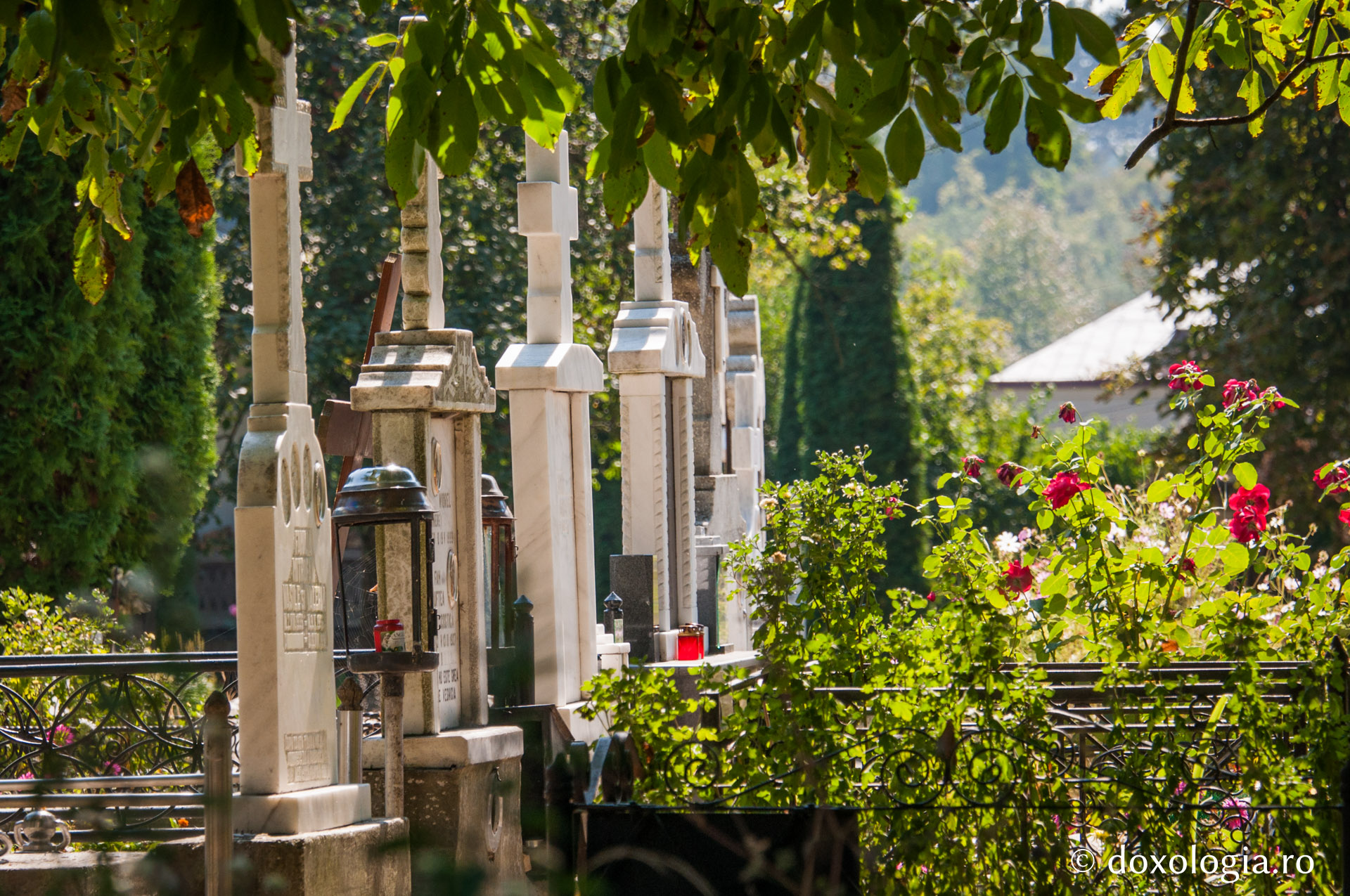 Mănăstirea Bistrița