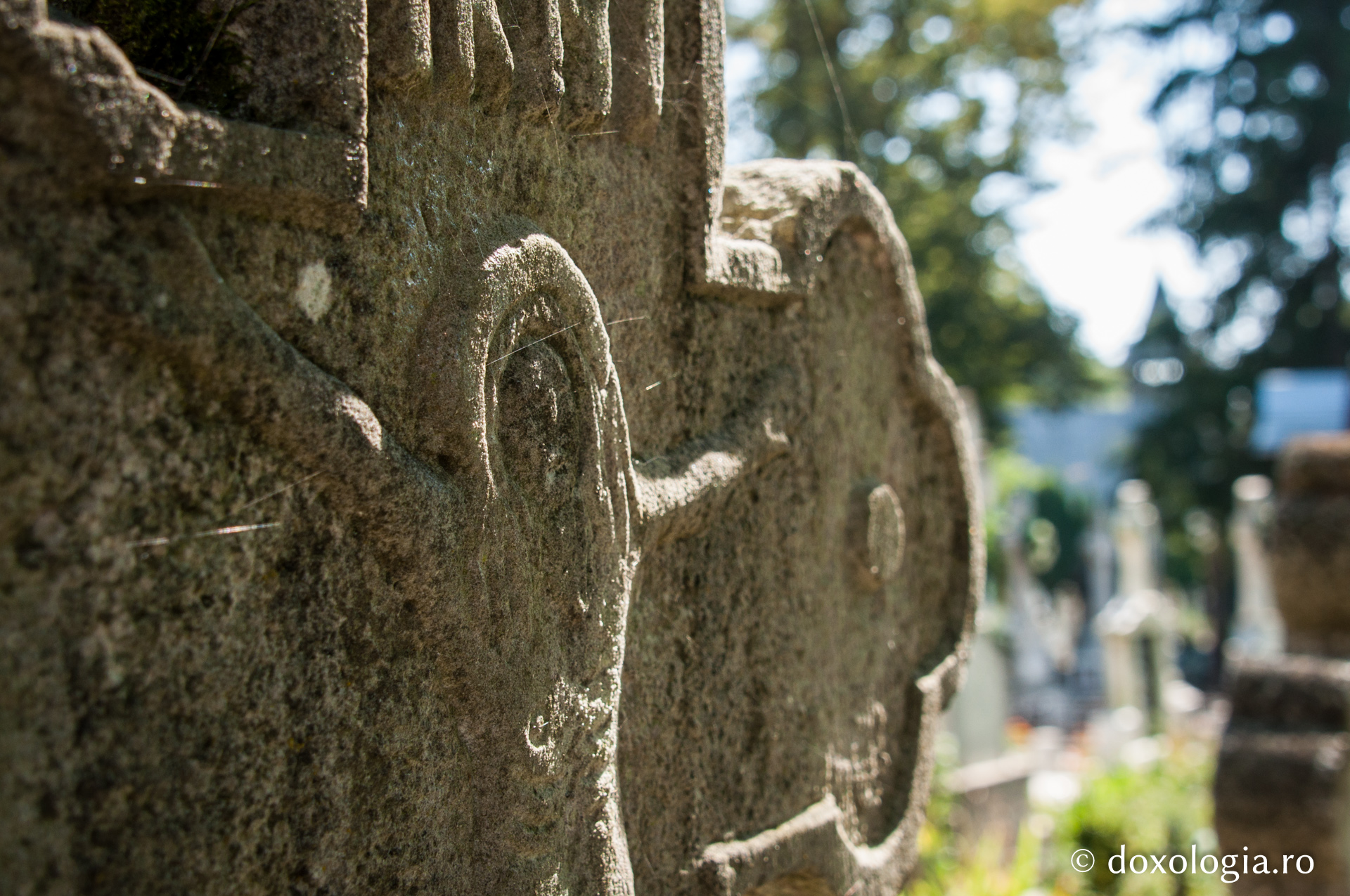 De ce dorim să ne prelungim viața?