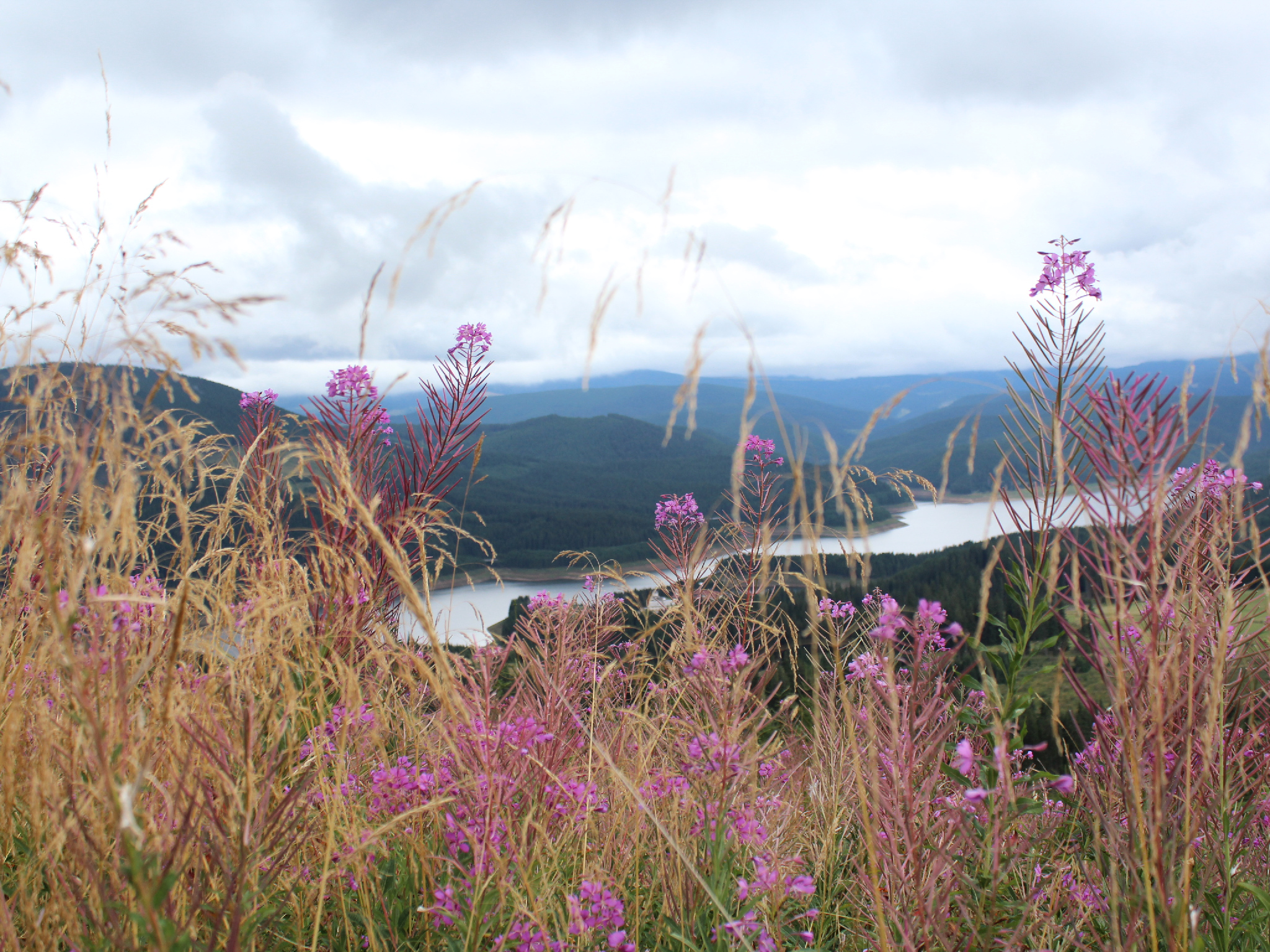 Tabără la Mănăstirea Oașa organizată de ASCOR și ATOR Iași: „ Să-L ducem acasă pe Hristos!”