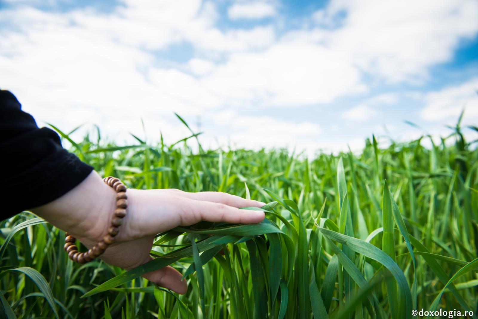 Îți dorești Raiul?
