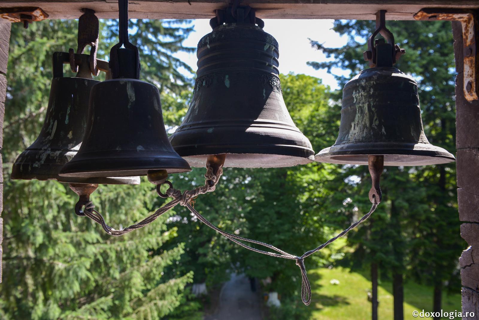 Rațiune împletită cu smerenie