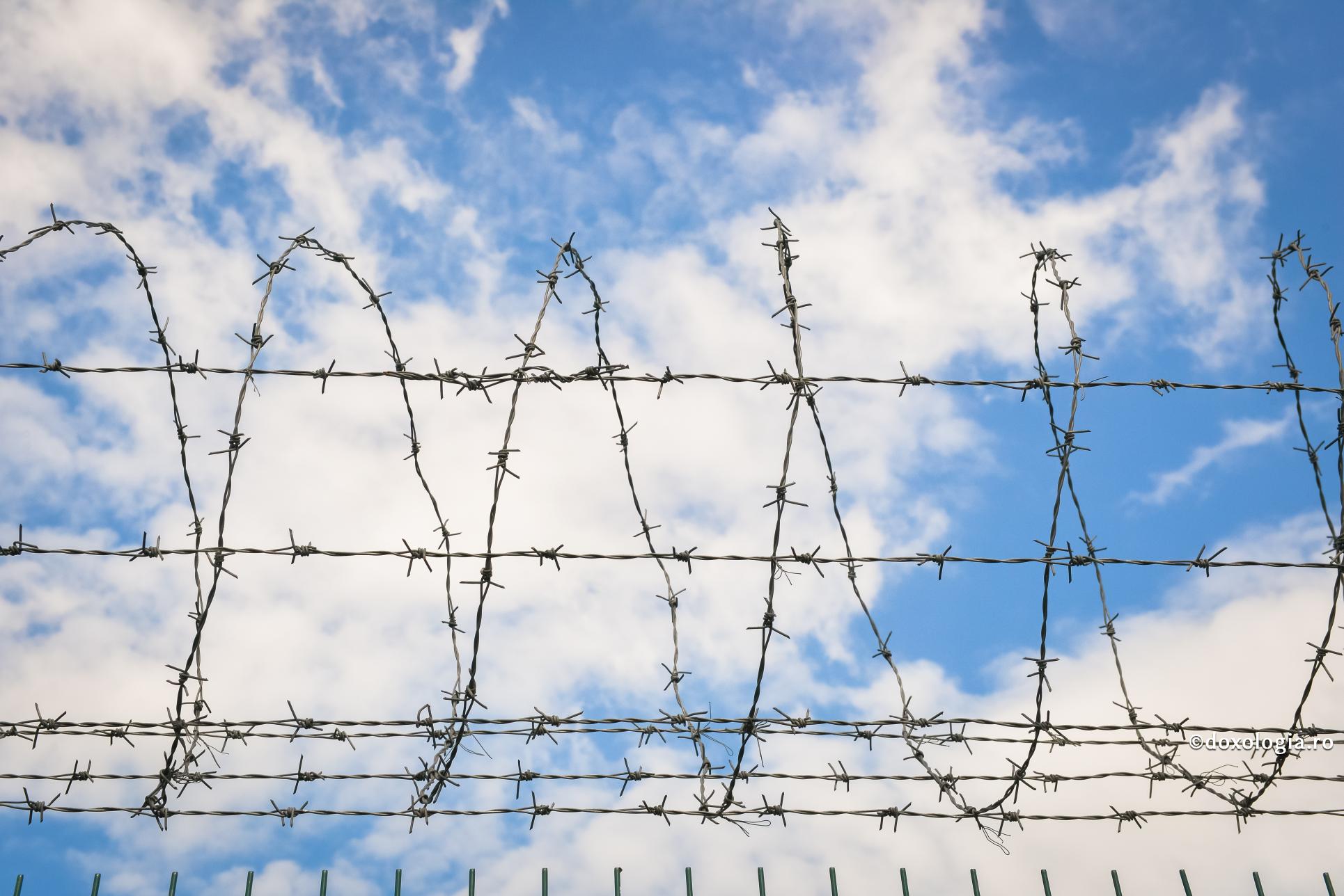 sârmă ghimpată