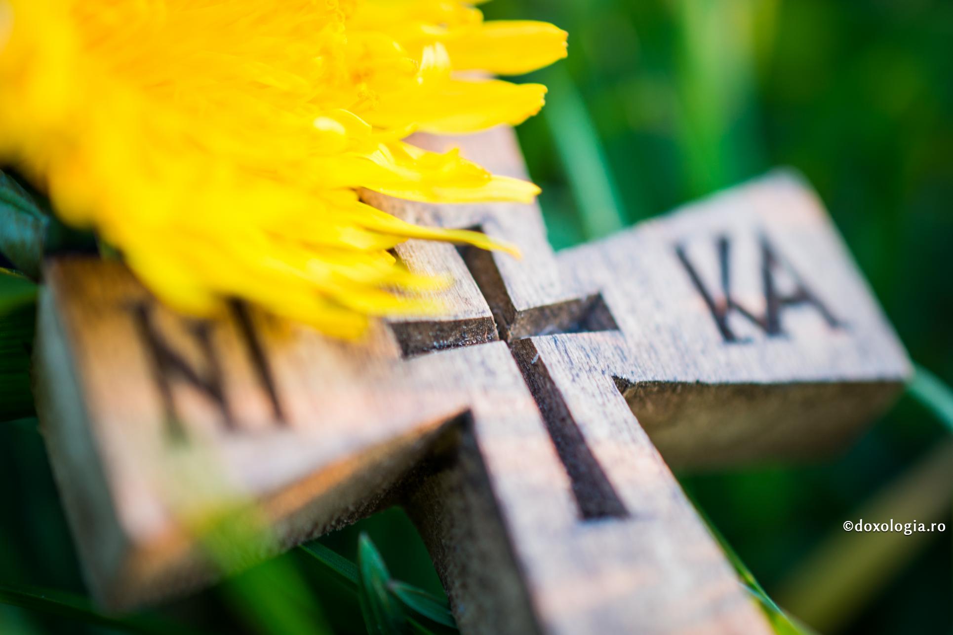 Momentul întrebărilor de suflet ‒ față în față cu Sfânta Cruce