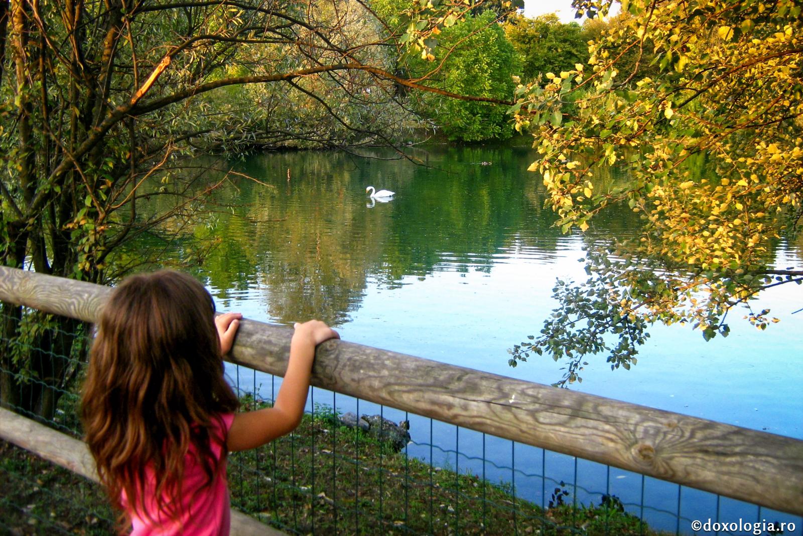 De multe ori, puterea și slava Domnului sunt necunoscute pentru ochii noștri