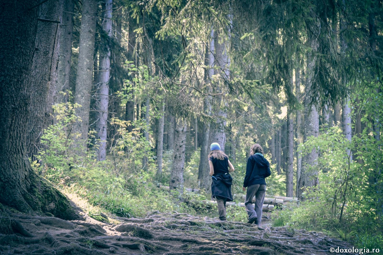 Nu umblați în tovărășii rele!