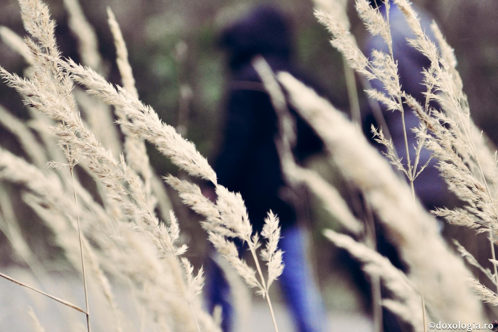 Cum ne ajută potrivnicul să-L mâniem pe Dumnezeu