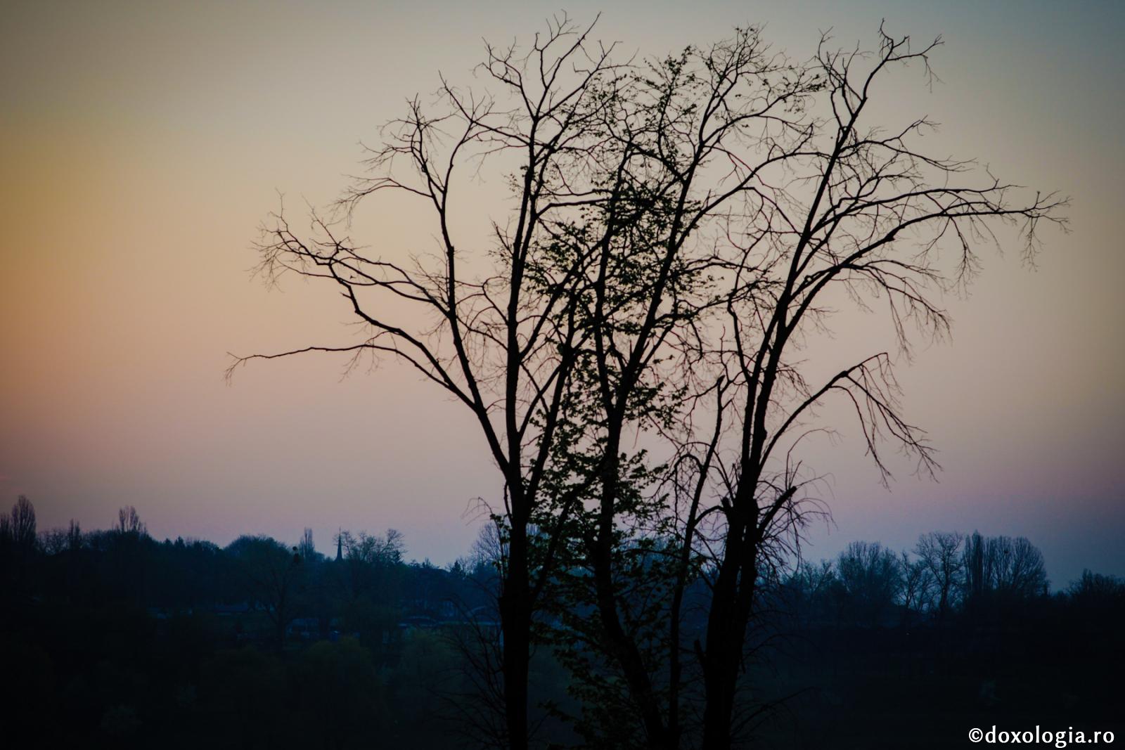 Despre fenomenele apocaliptice din vremurile noastre