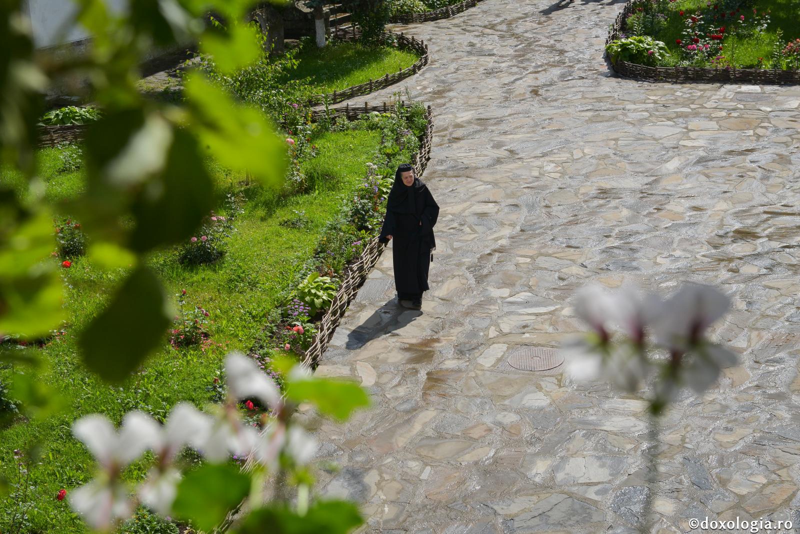 Armonizarea creştinismului cu duhul vremii