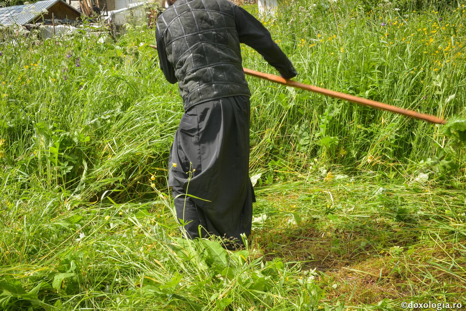 Sfinţii Părinţi pun ascultarea mai presus decât postul şi rugăciunea…