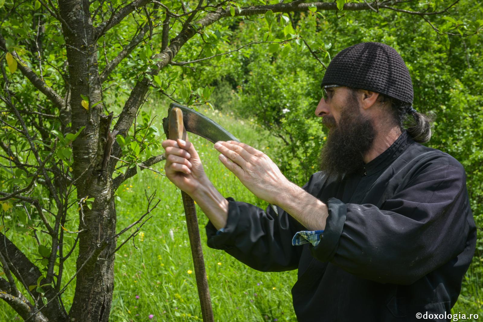 Siliți-vă în slujbele trupești și sporiți în cele duhovnicești