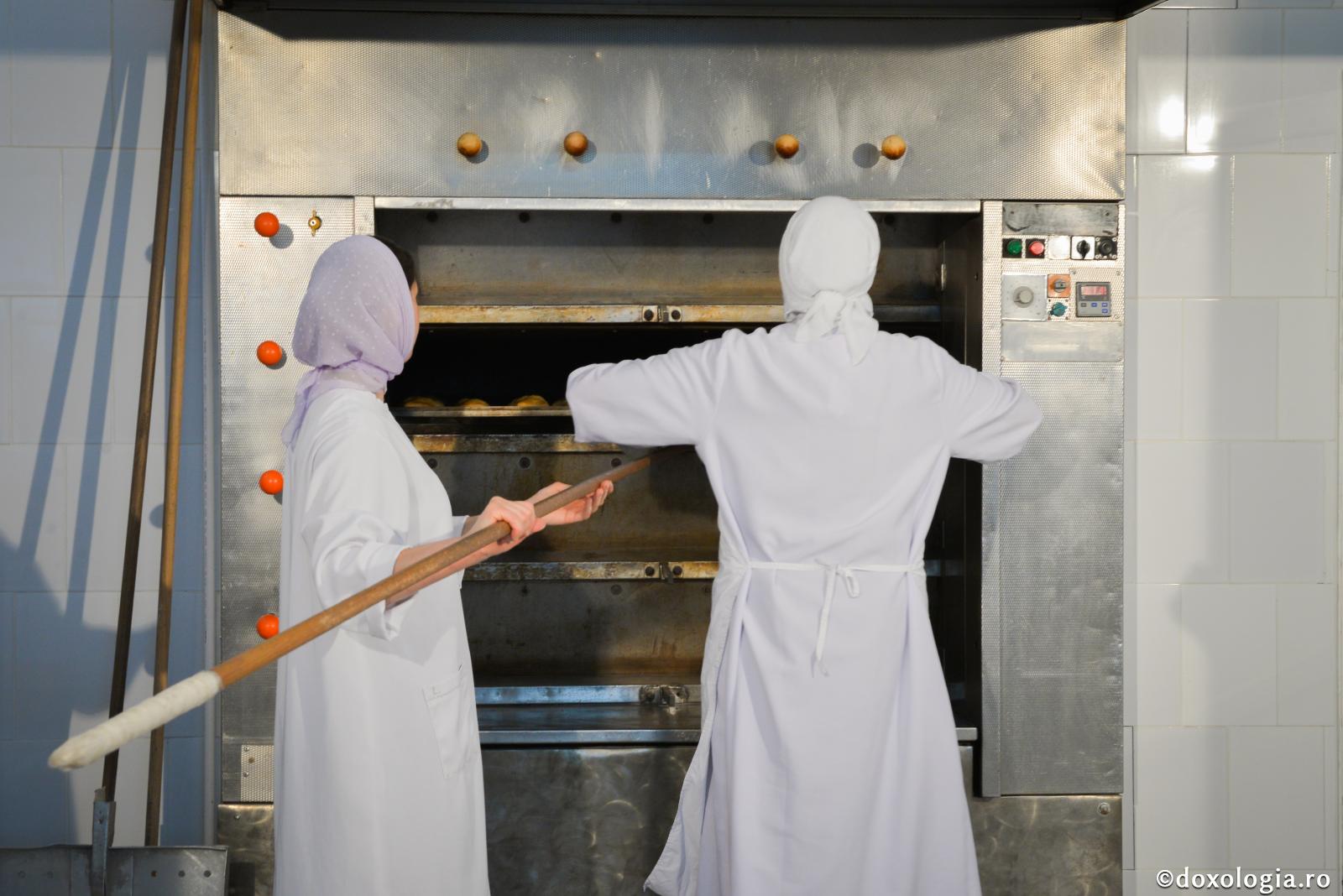 Băgaţi de seamă să pliniţi îndatoririle voastre cu râvnă, nu cu lene!