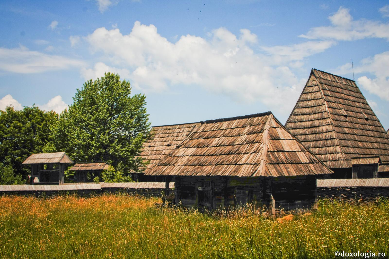 Bucuriile acestei lumi