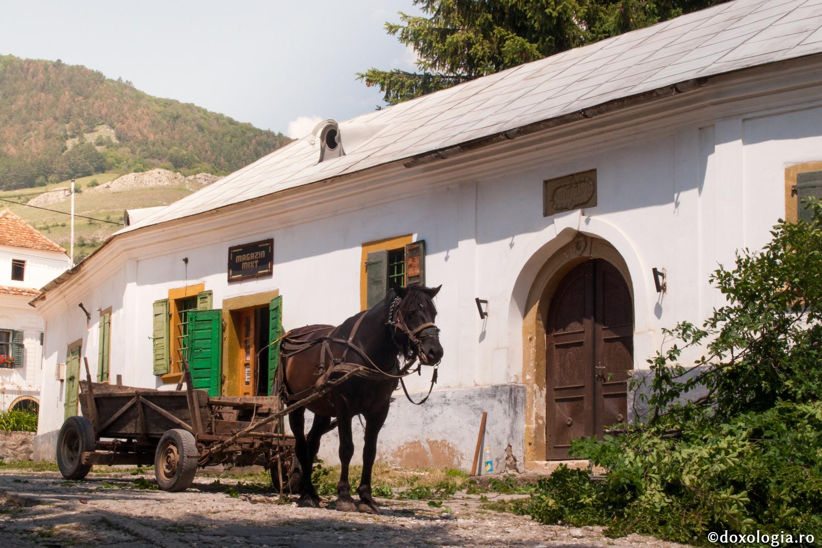 Omul păcătos este asemenea unui cal nărăvaş