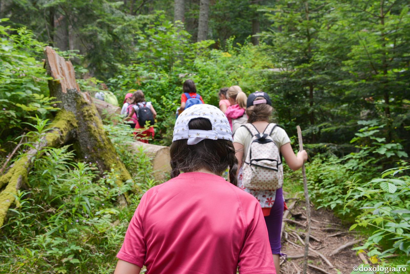 Calea strâmtă vs calea lată