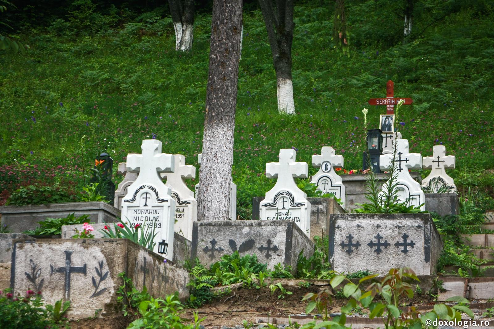 Moartea neprevăzută - fabulă creștină