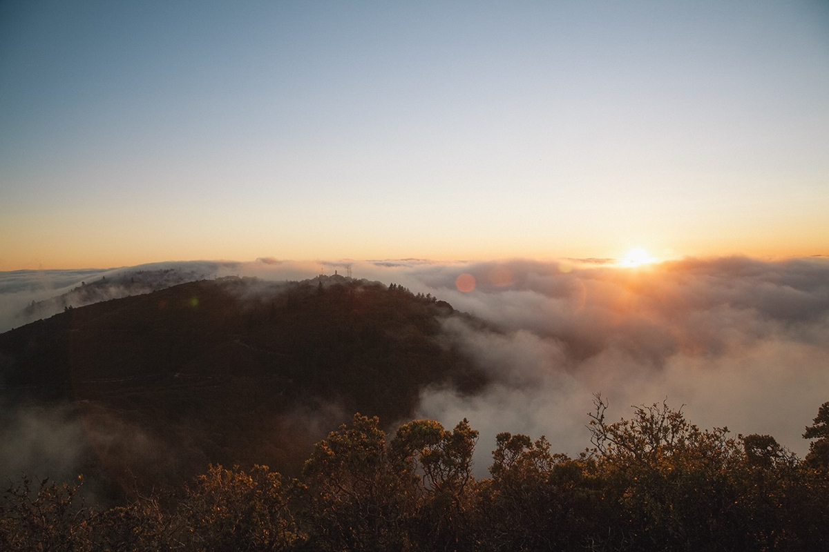 Chiar dacă am ajunge pe culmile virtuţii, ne izbăvim prin milă