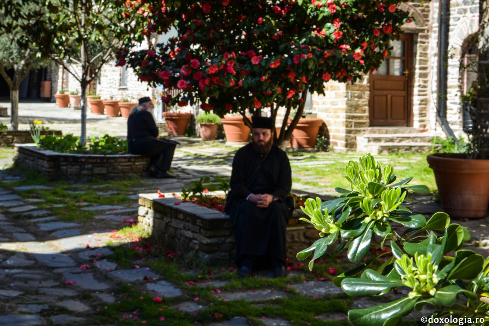 Trebuie să învăţăm să ne cunoaştem sufletele, ca să ştim ce ne este de folos