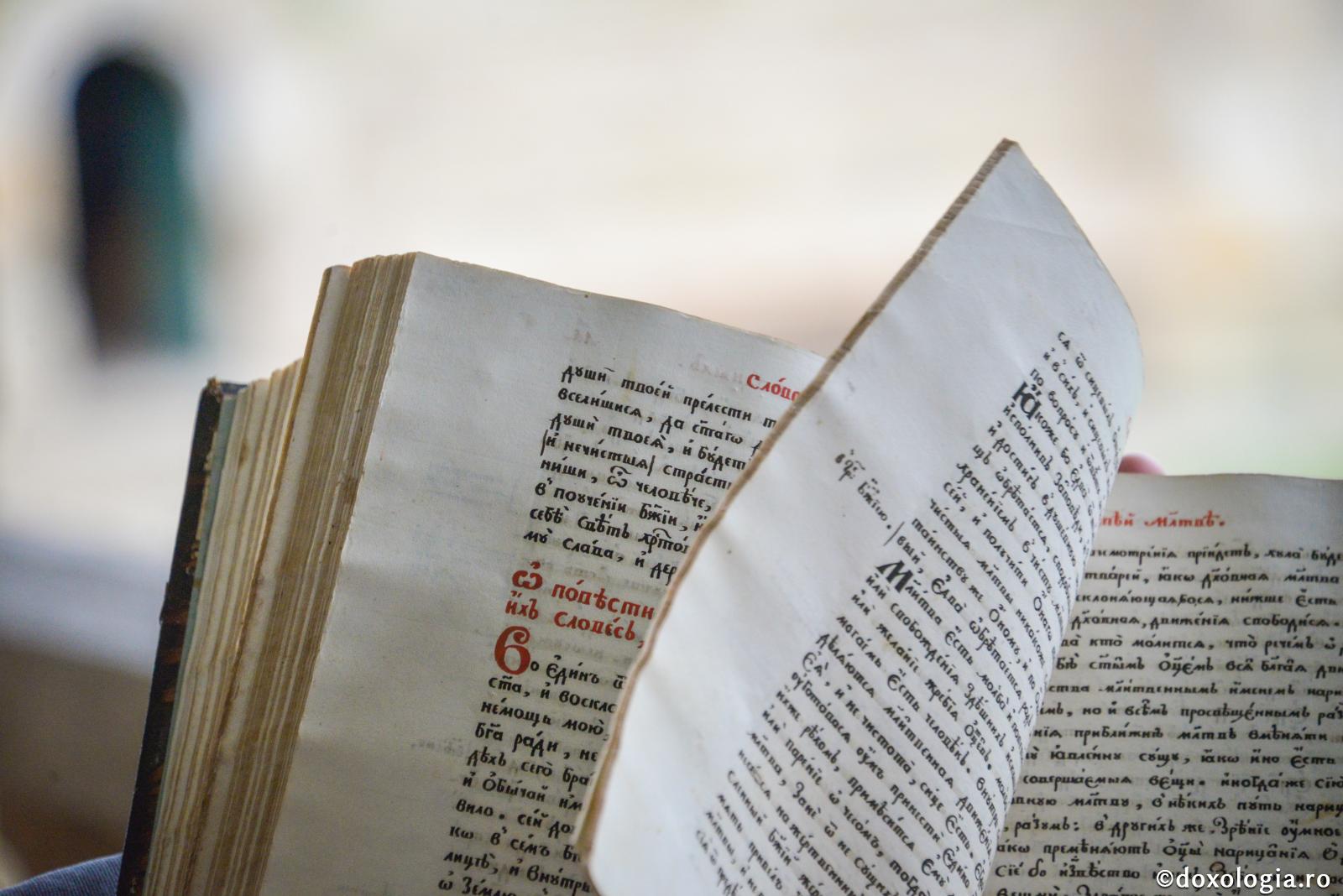 Cuvintele evanghelice sunt și leac, și hrană