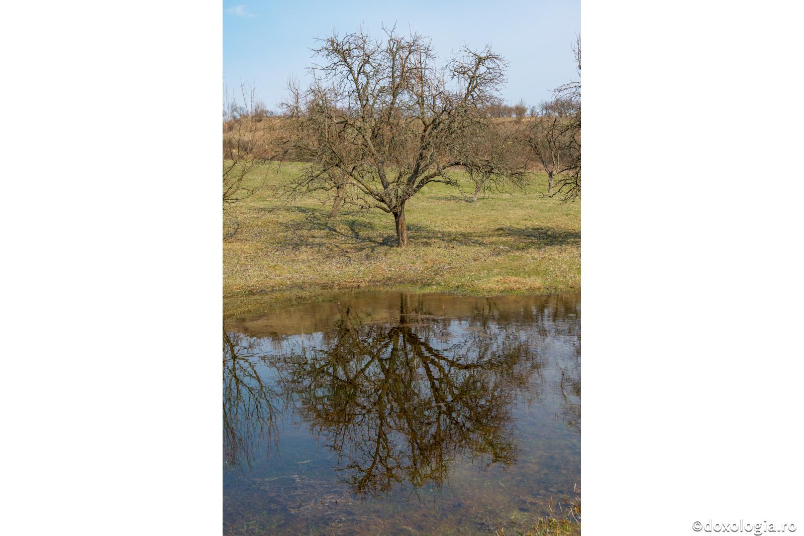 Din bunătatea lui Dumnezeu există anumite plăceri nevinovate şi în această lume