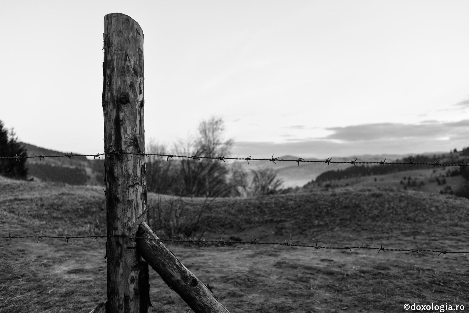 Baha Saeed Karam – un soldat creștin egiptean ucis pentru credința sa