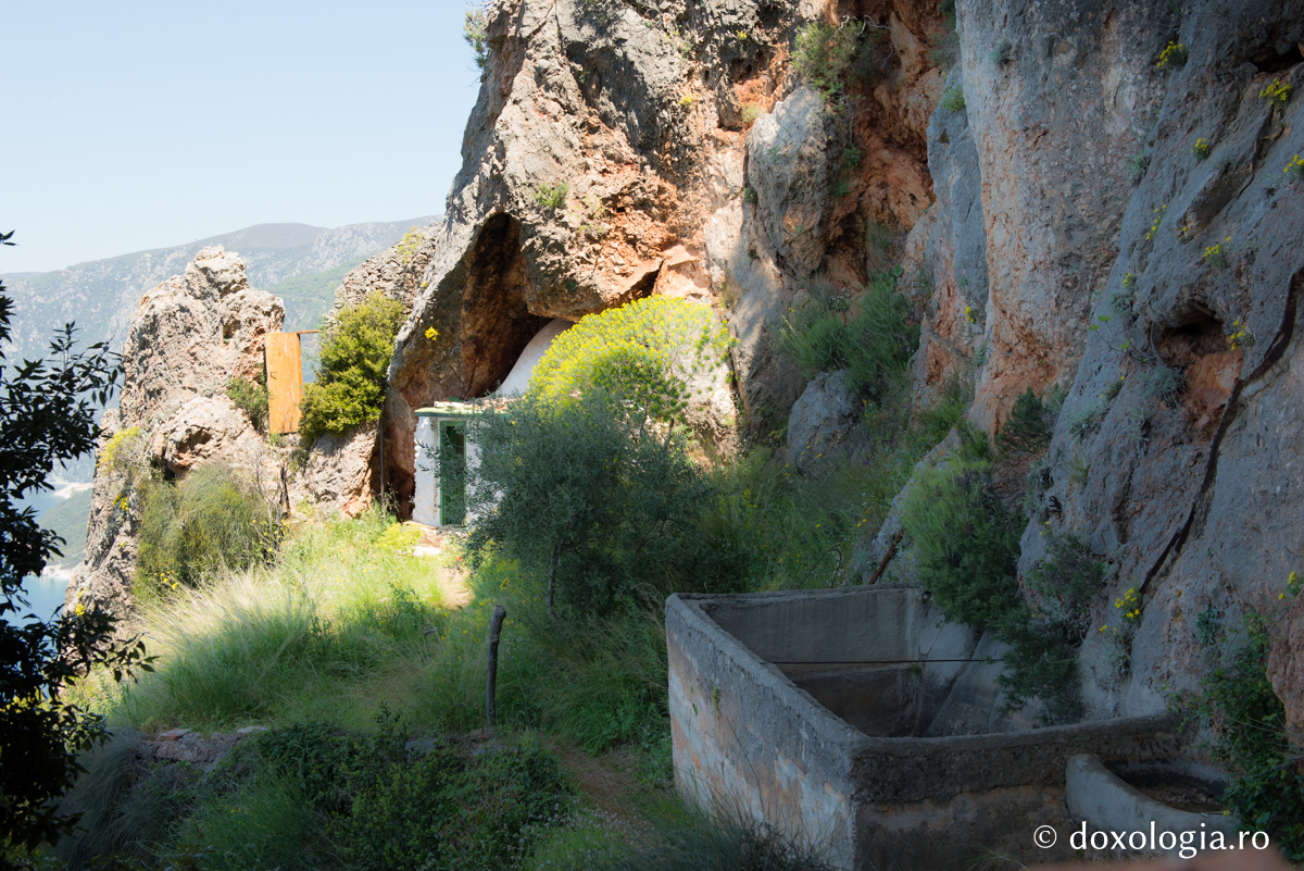 Învăţăturile lui Gheron Iosif Isihastul – 3. Despre program şi neorânduială