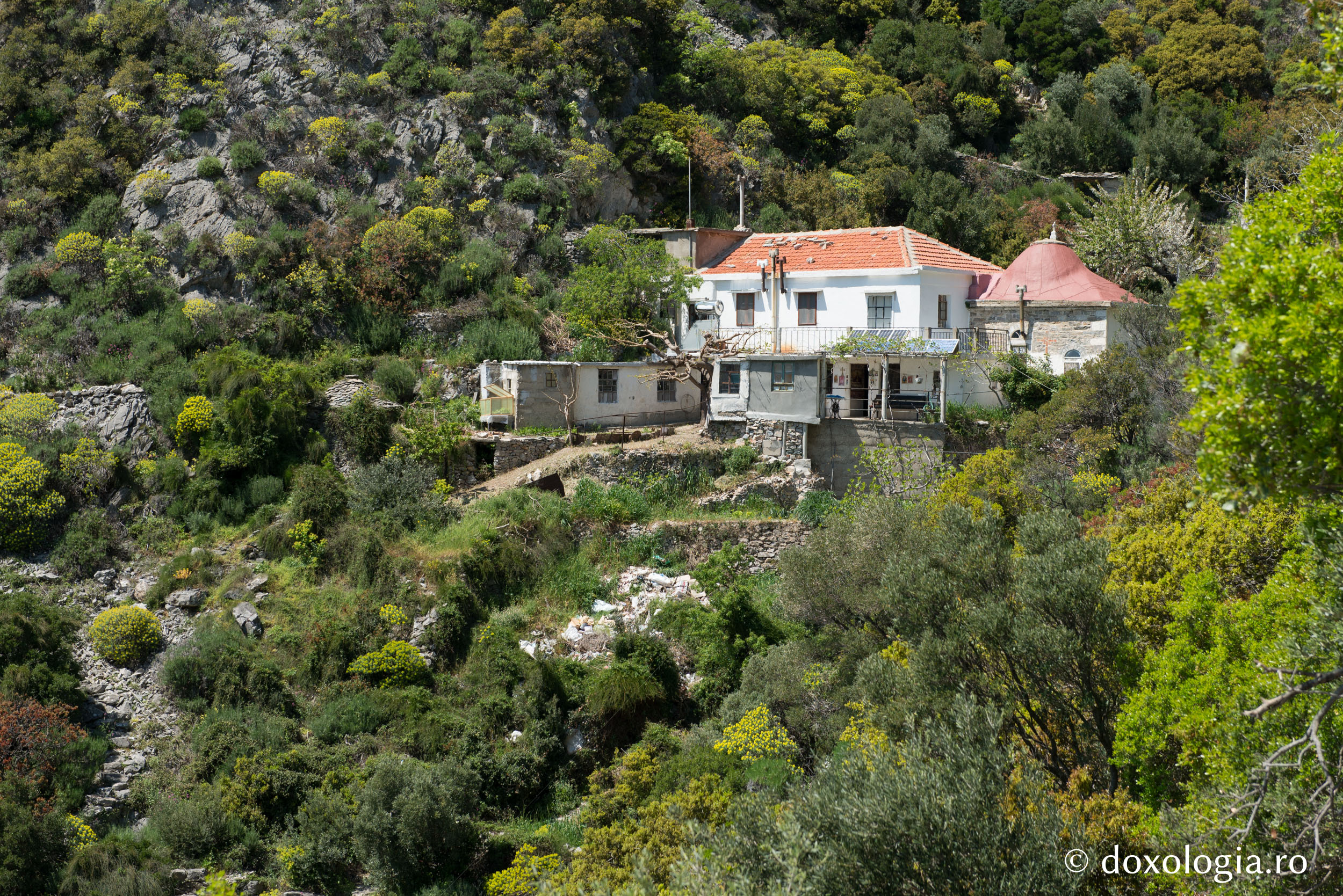 Chilia Stareţului Efrem (Foto: Silviu Cluci) Părintele Efrem Katunakiotul († 27 februarie 1998)