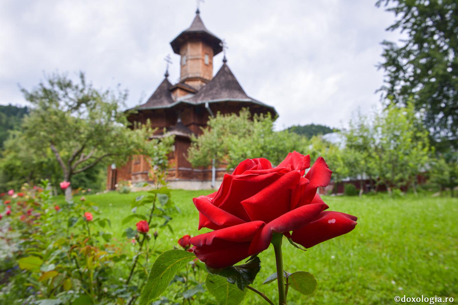 Ce face Duhul Sfânt?