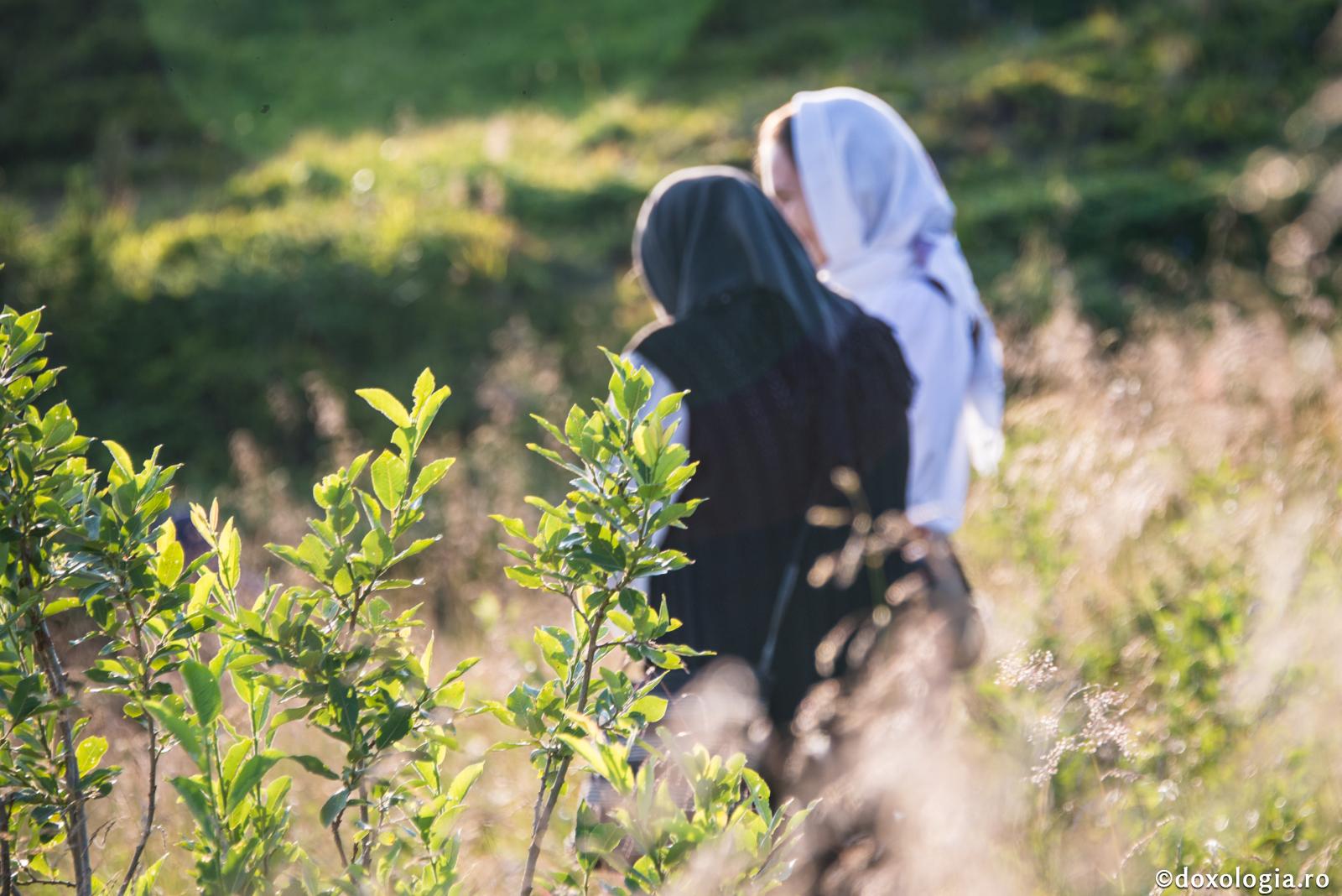 Să viețuim în Domnul