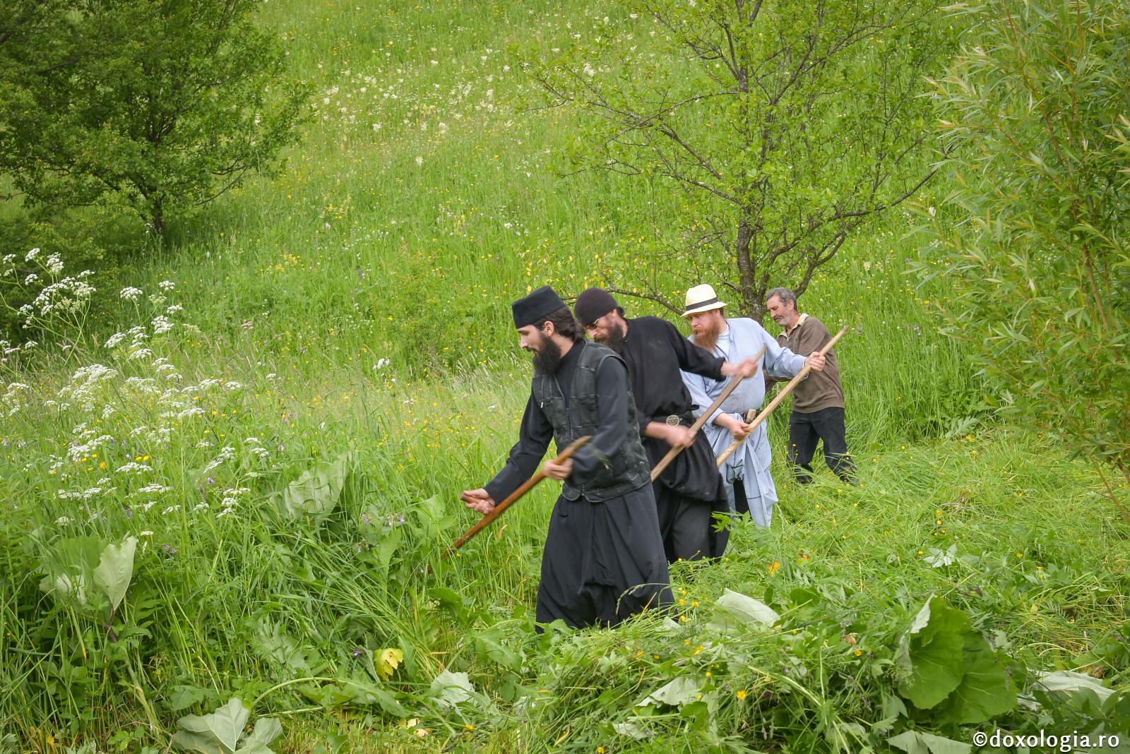 Viața de obște și ascultarea cea sfântă