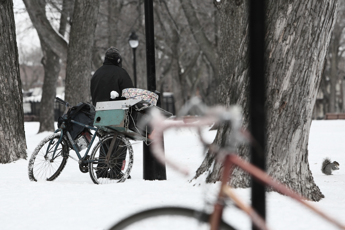 Fiul pierzării, cel născut din curvie