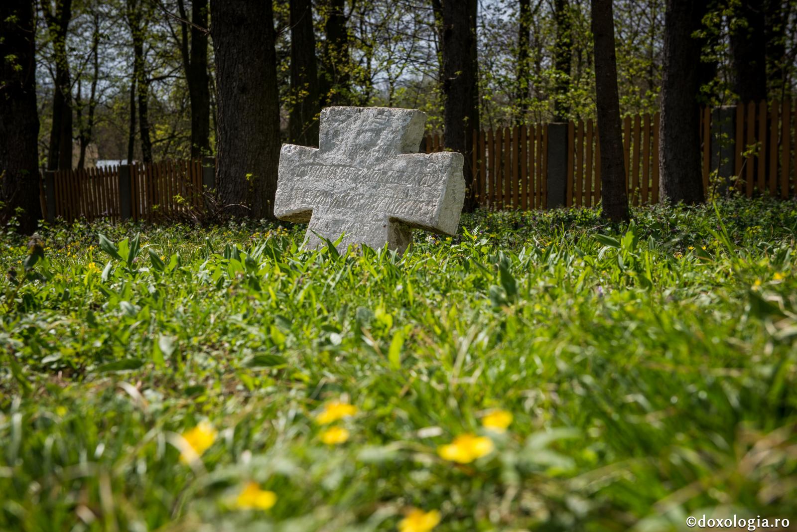 100 de zile – 1.000 de creștini uciși în Nigeria