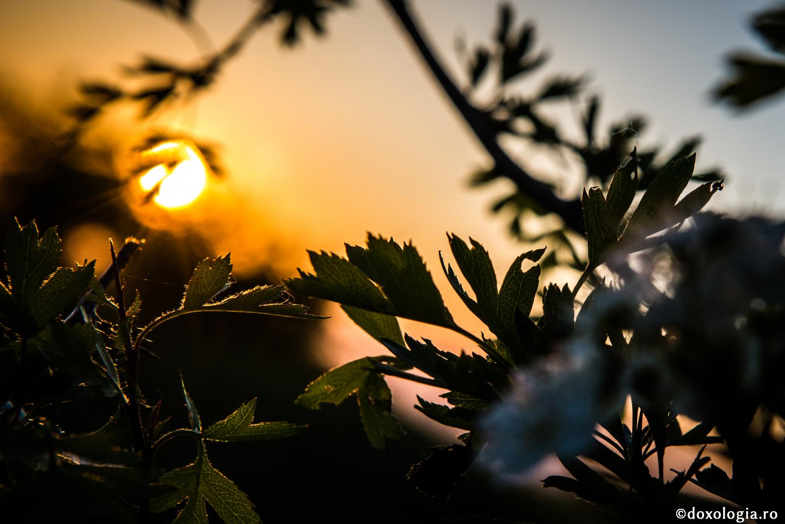 Imaginaţia nu duce la unirea cu Dumnezeu