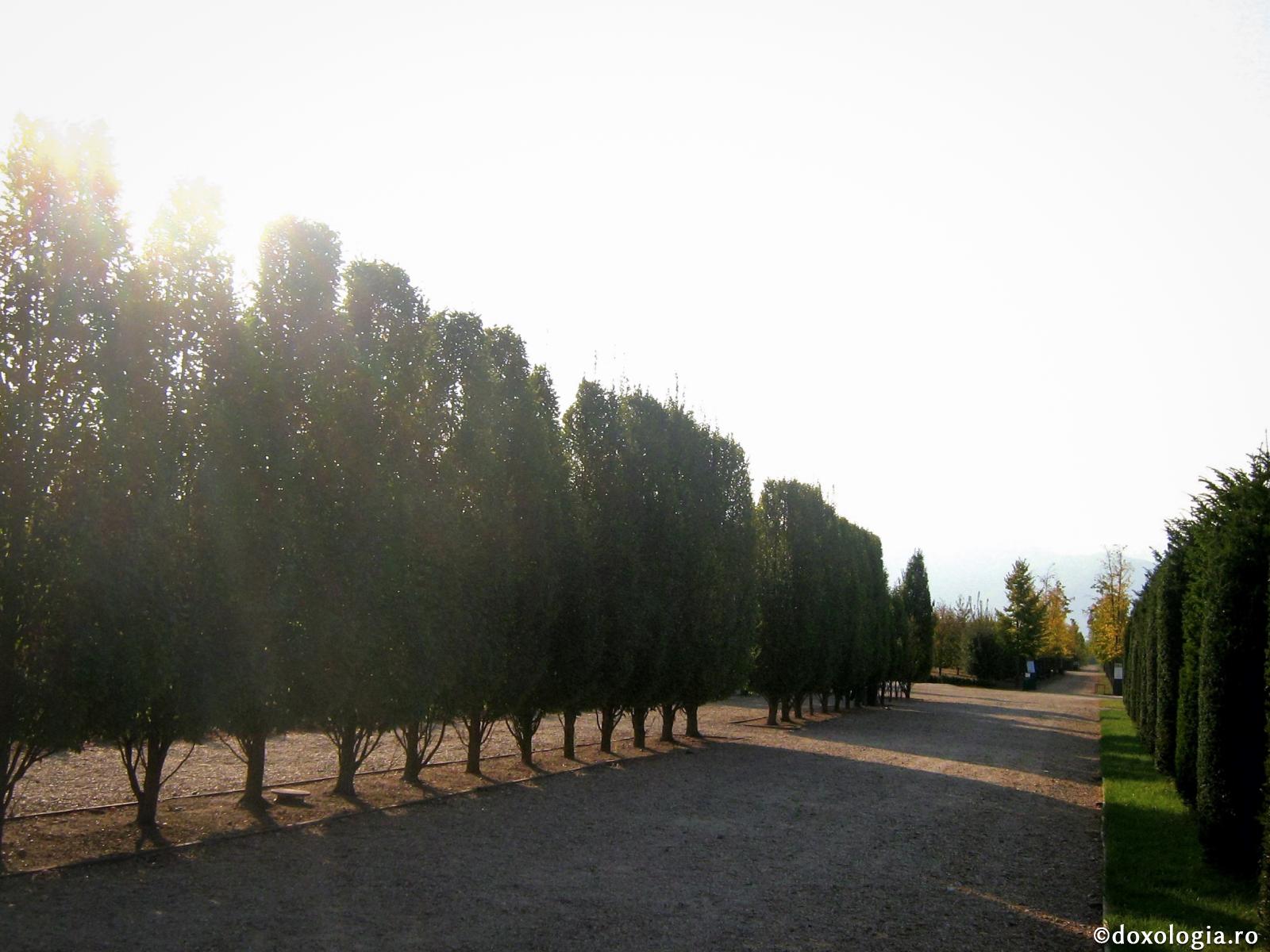 Când venim de la serviciu nervoși...