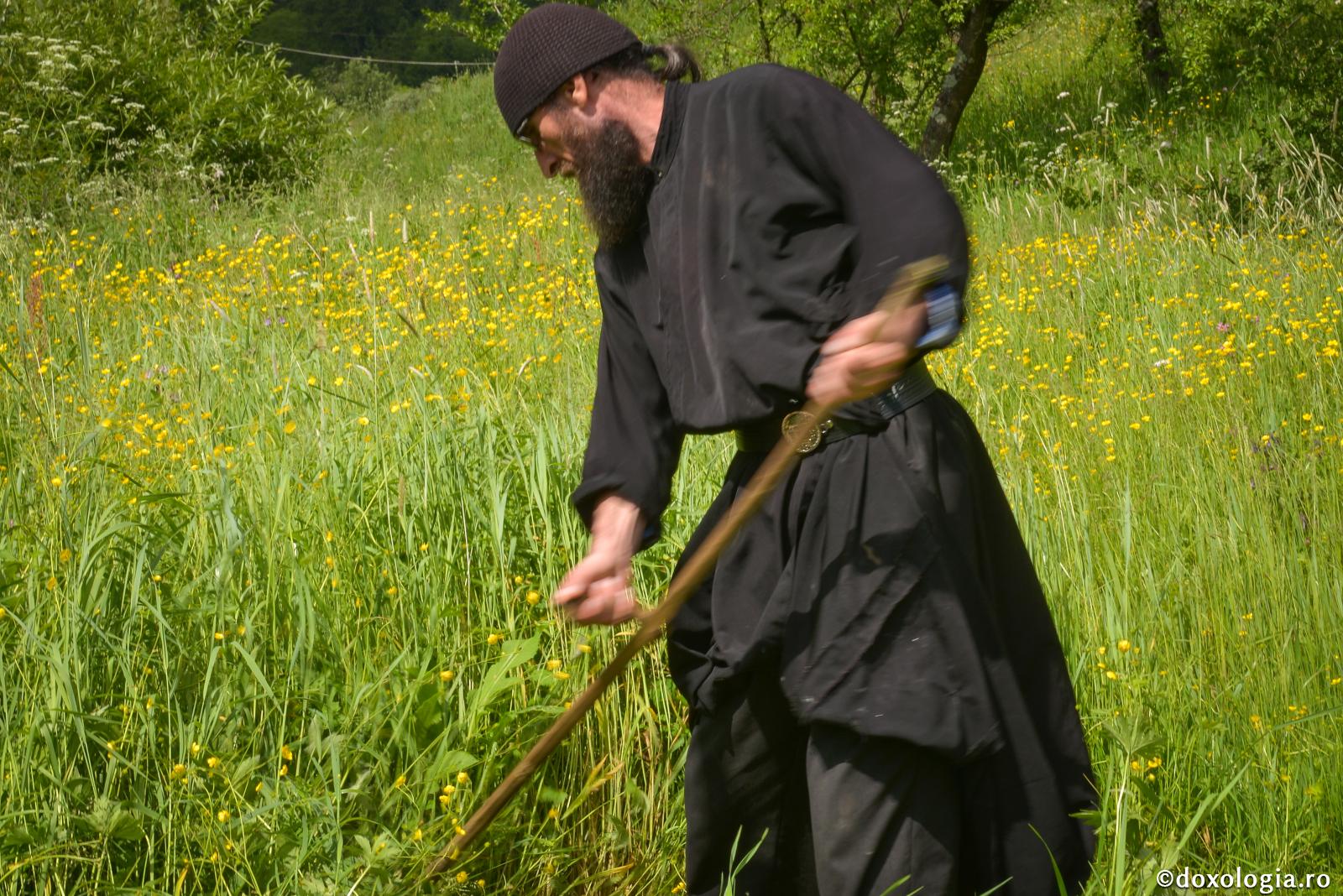 Domnul ştie lucrul fiecăruia, şi slujba tuturor