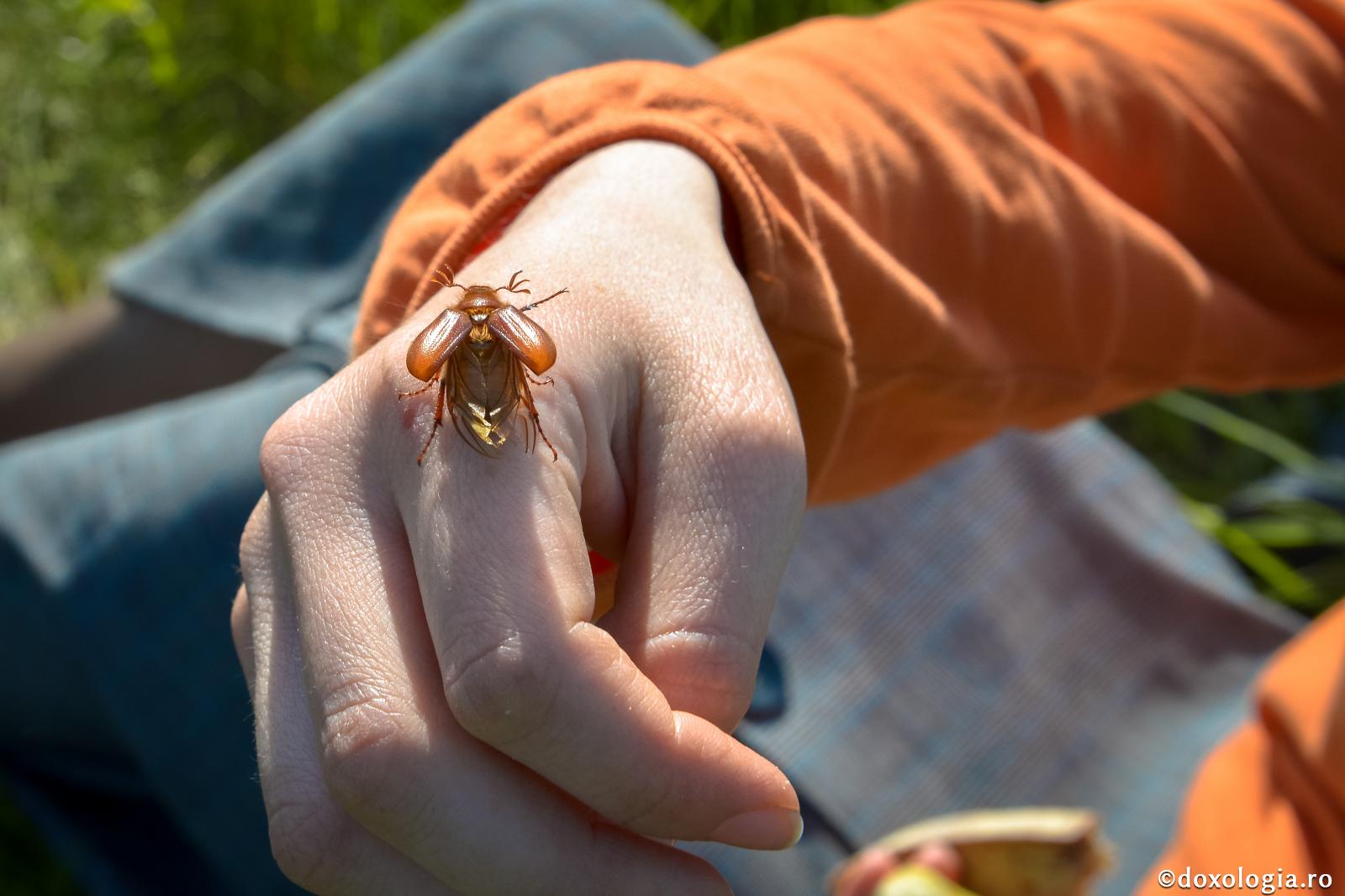 Lupta pentru bunele obiceiuri