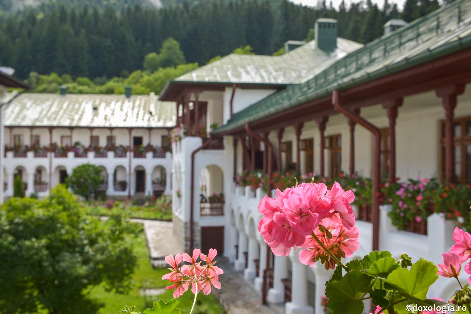 „Liniștea desăvârșită este cruce pe care omul e dator să se răstignească pe sine”