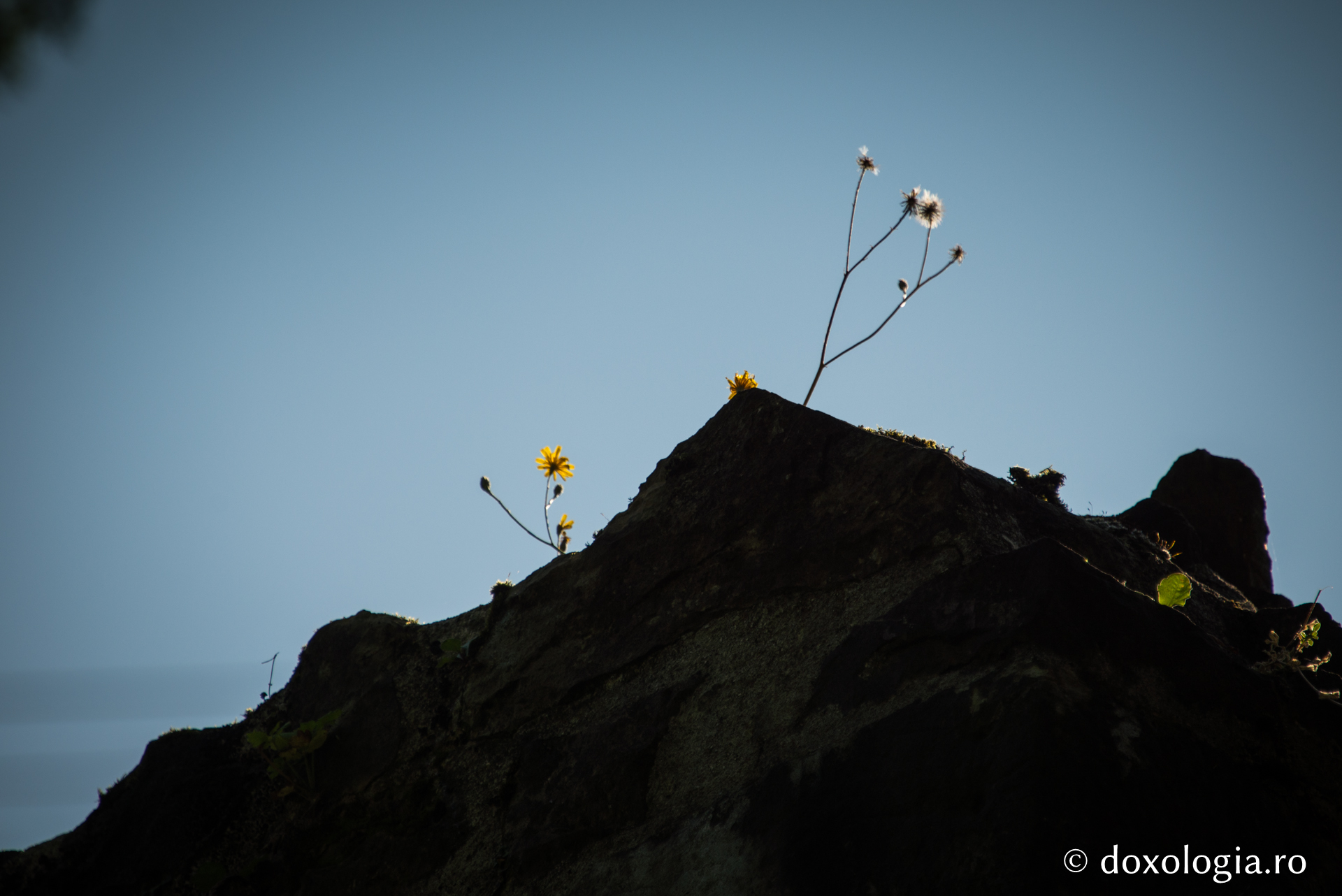 „Sănătatea s-o prețuim și boala s-o primim cu bucurie”