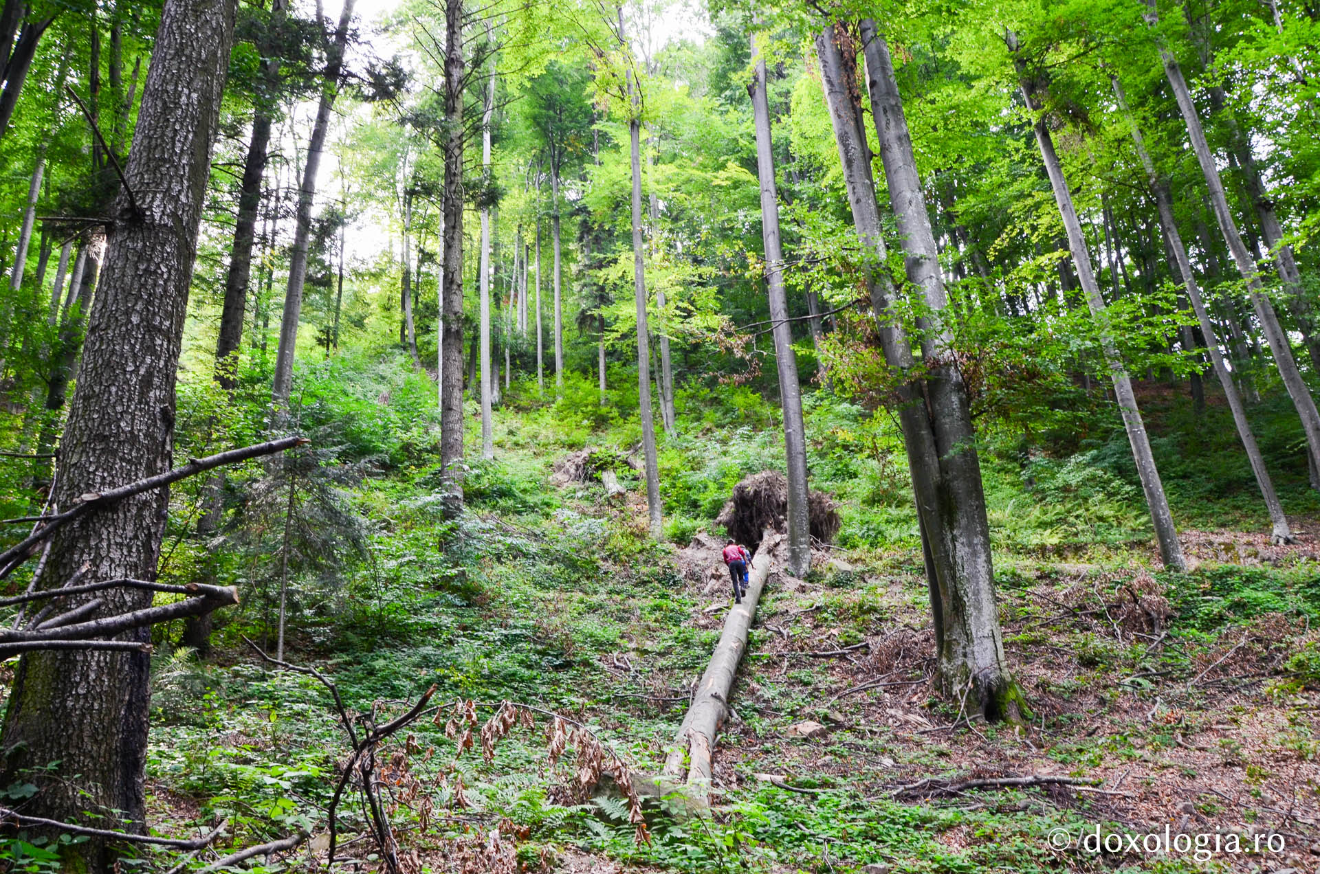 Pe urmele Sfântului Chiriac de la Tazlău