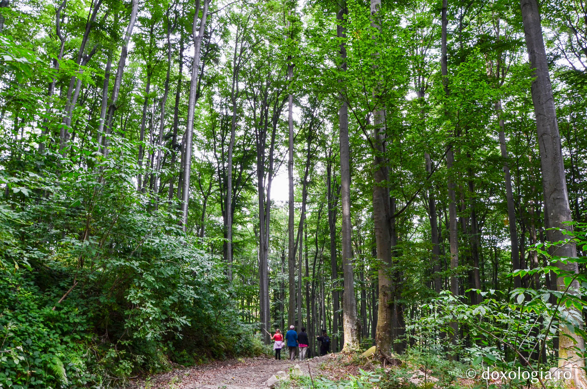 Pe urmele Sfântului Chiriac de la Tazlău