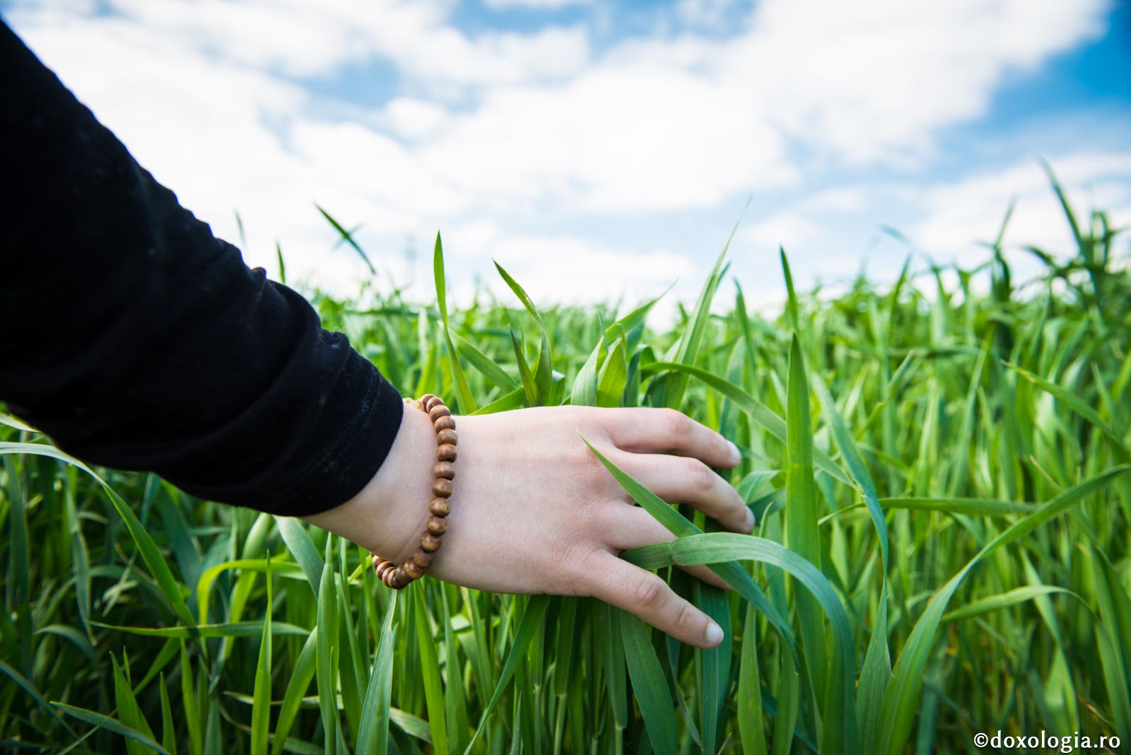 Feriţi-vă de vremea primăverii, căci este schimbătoare şi trupul vostru caută să lucreze ale pământului