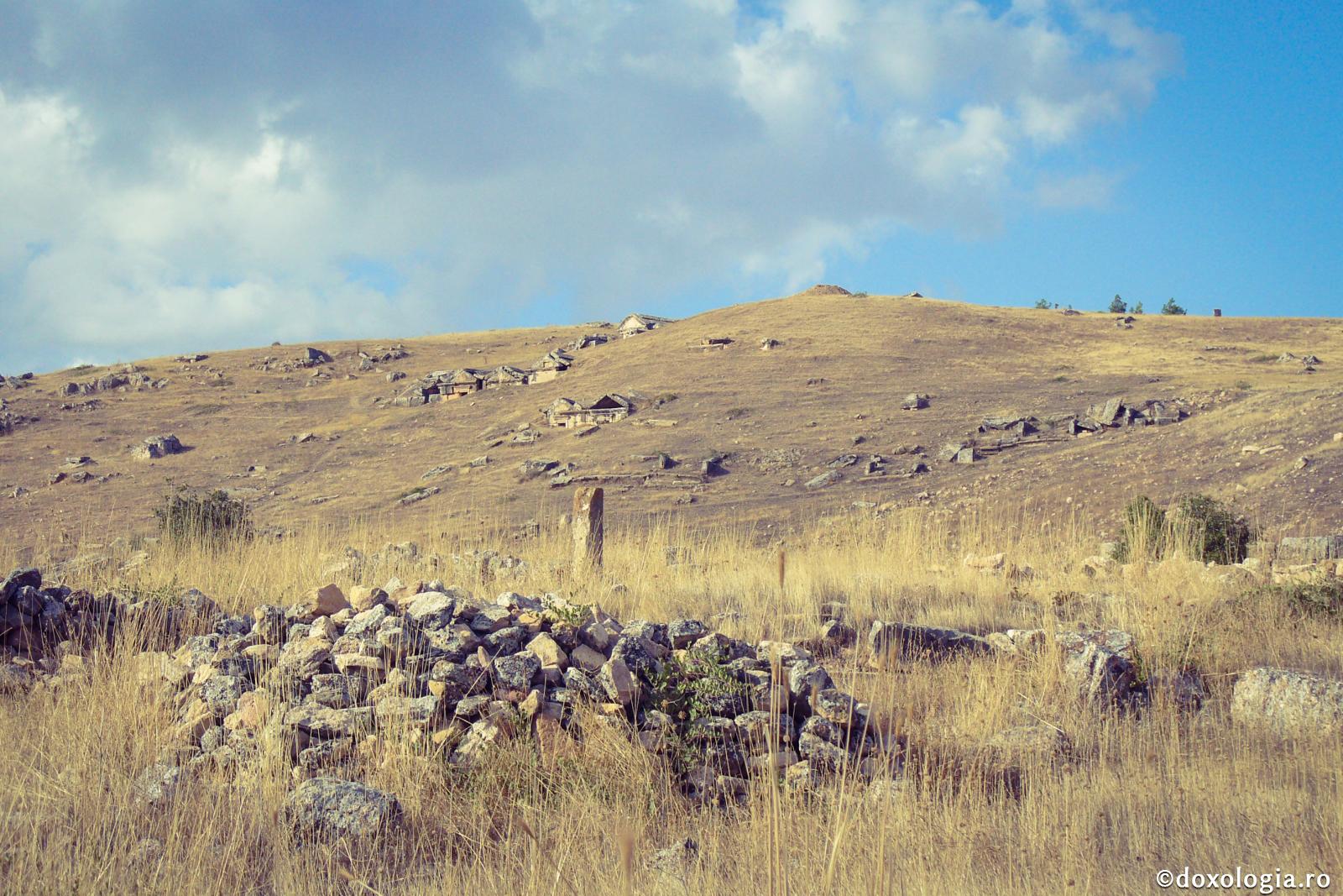 Despre natură şi morală
