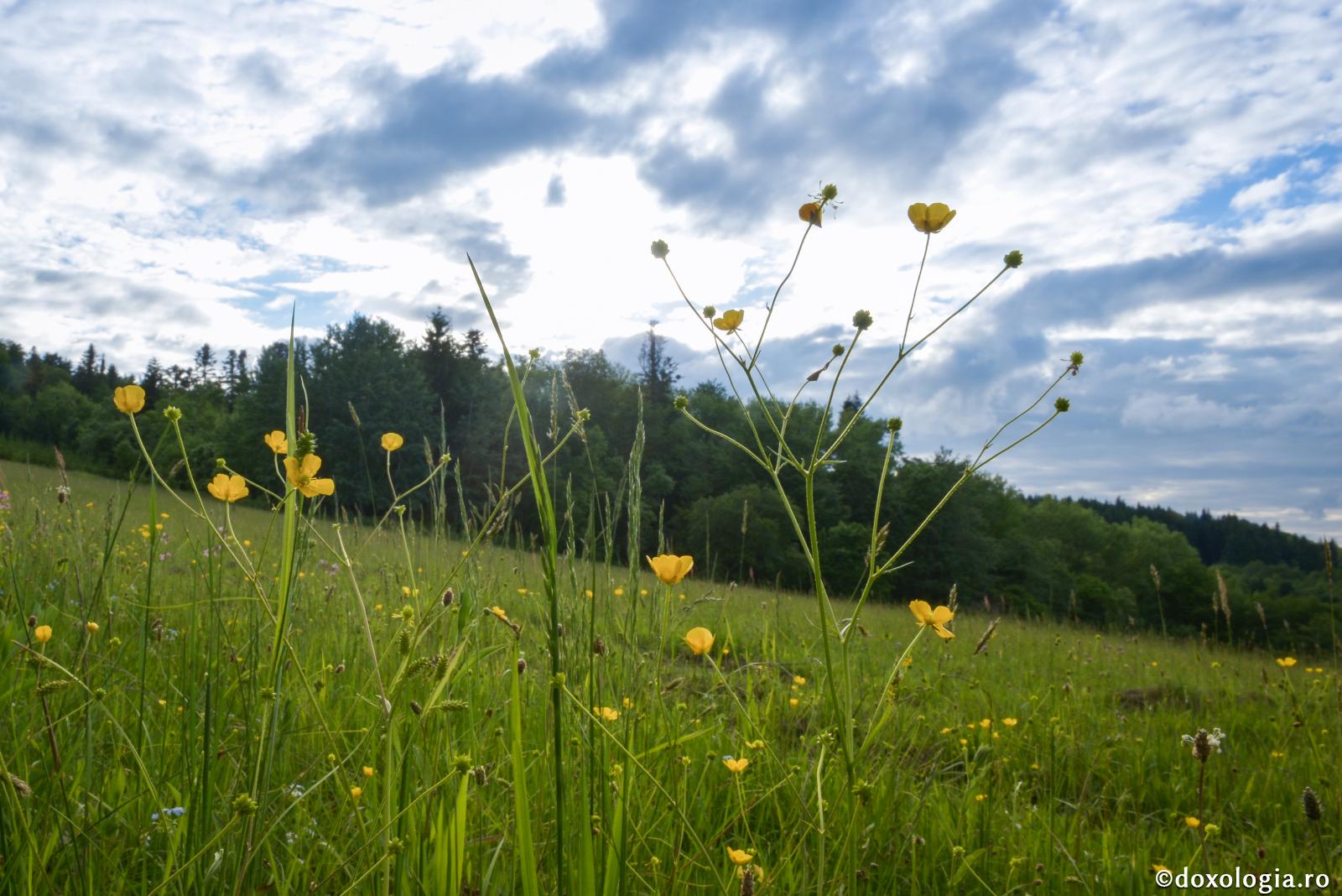 Înrudirea omului cu Cerul și pământul