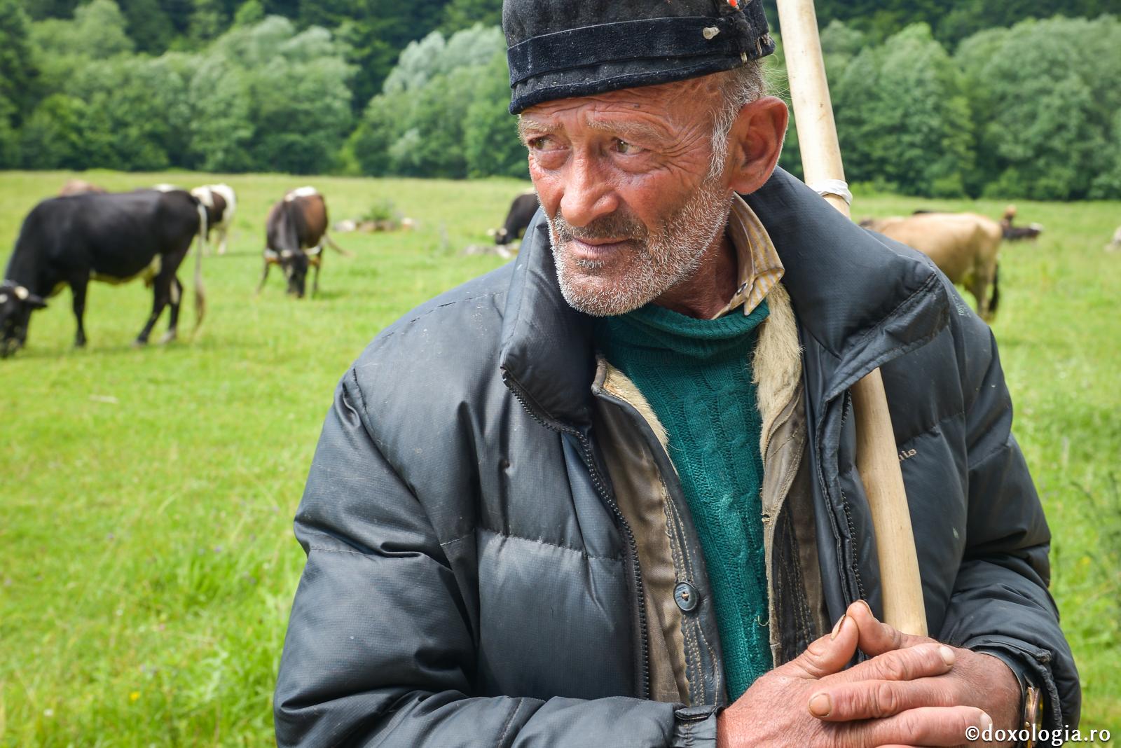 Nădejdea nu ruşinează