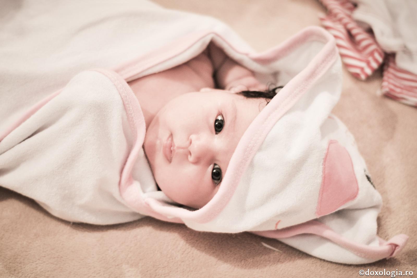 Alcătuirea acestei vieţi